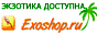 ExoShop.Ru:   