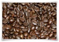 Дикий Кофе CHON - Вьетнамский кофе лювак (kopi luwak) (вьетнамский дикий кофе чон, chon) молотый - 1 кг. Пр-во Вьетнам.
